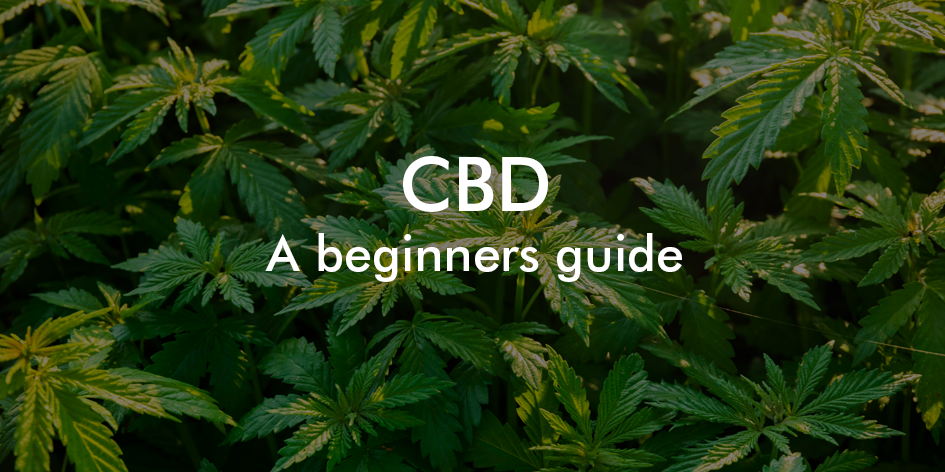 What Is CBD? A Beginners Guide – Feel Supreme