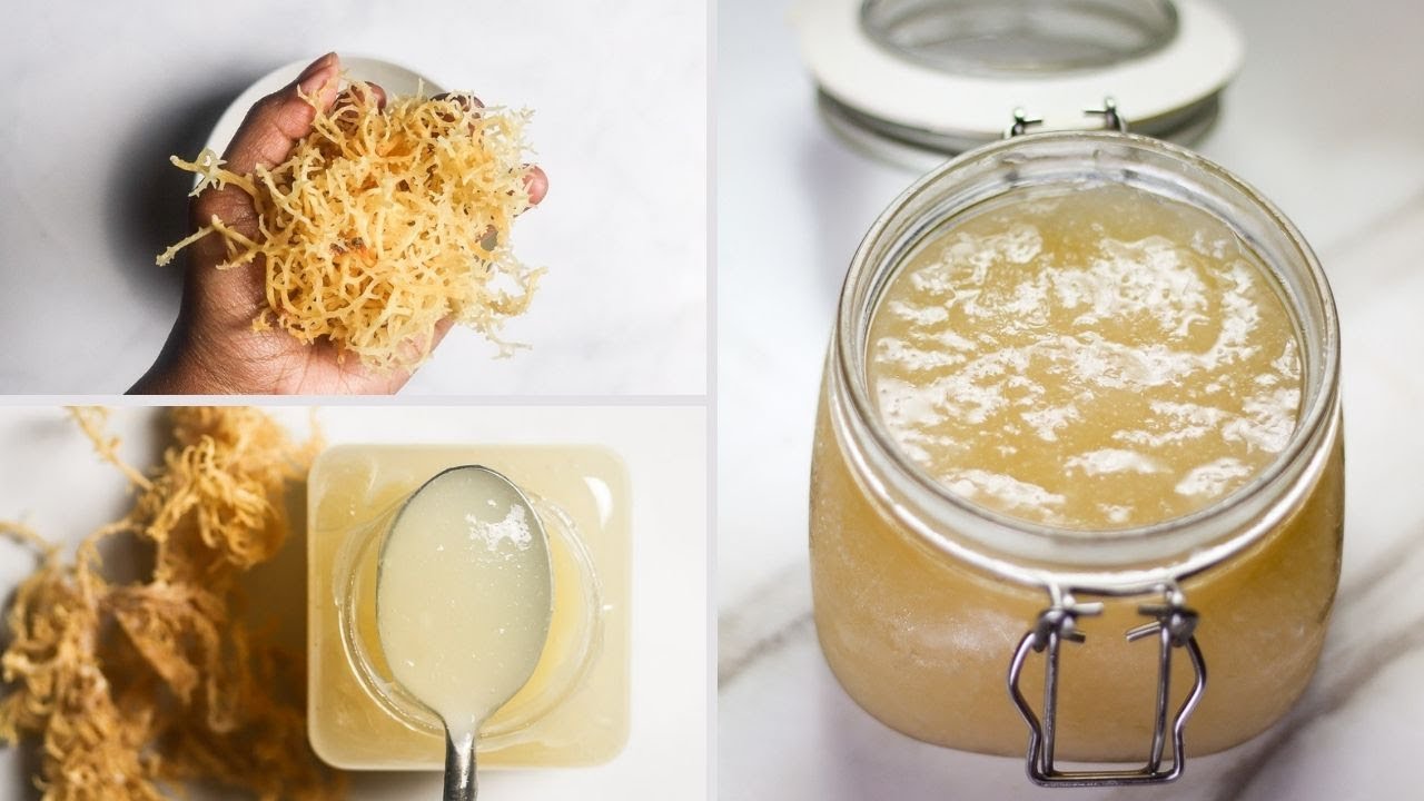 Science Behind Sea Moss Gel and Its Health Benefits