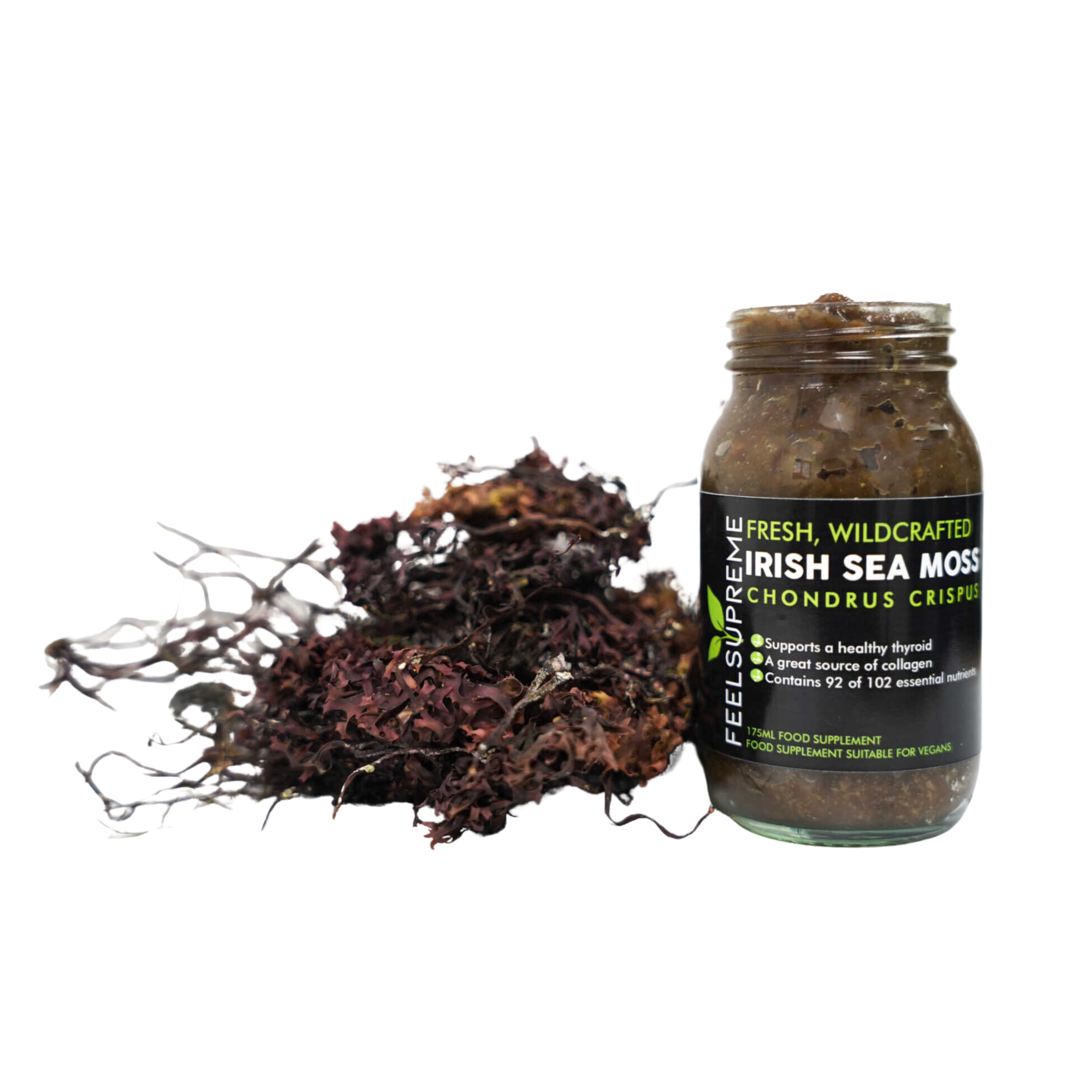 Sea Moss Gel – Hydrated and Healthy