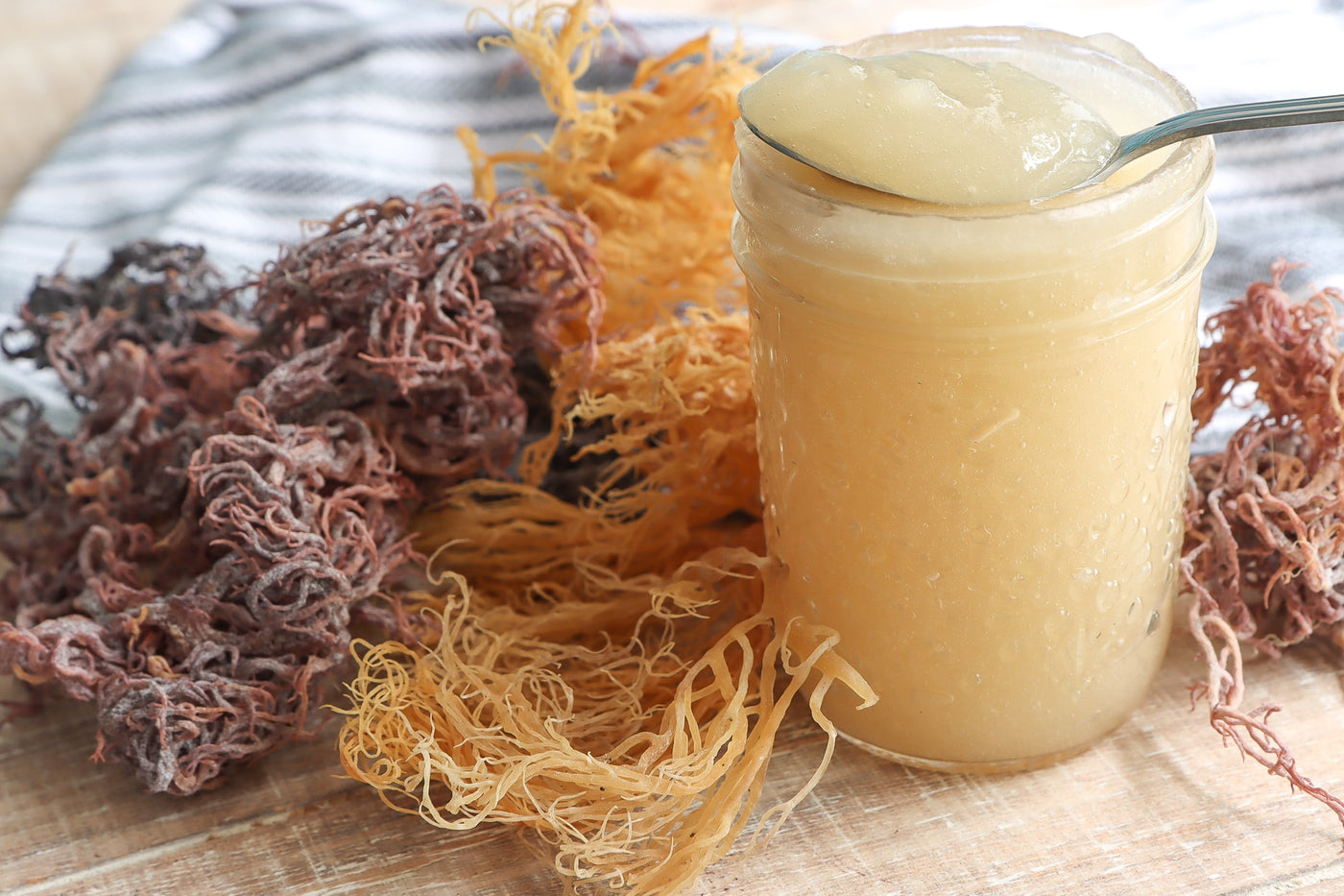 Science Behind Sea Moss Gel and Its Health Benefits