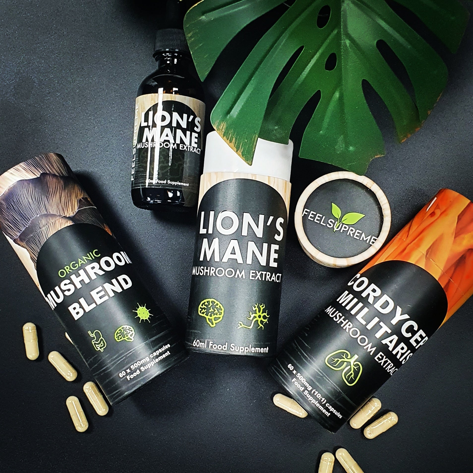 mushroom supplements