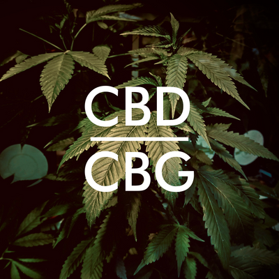 CBG or CBD: which is best?