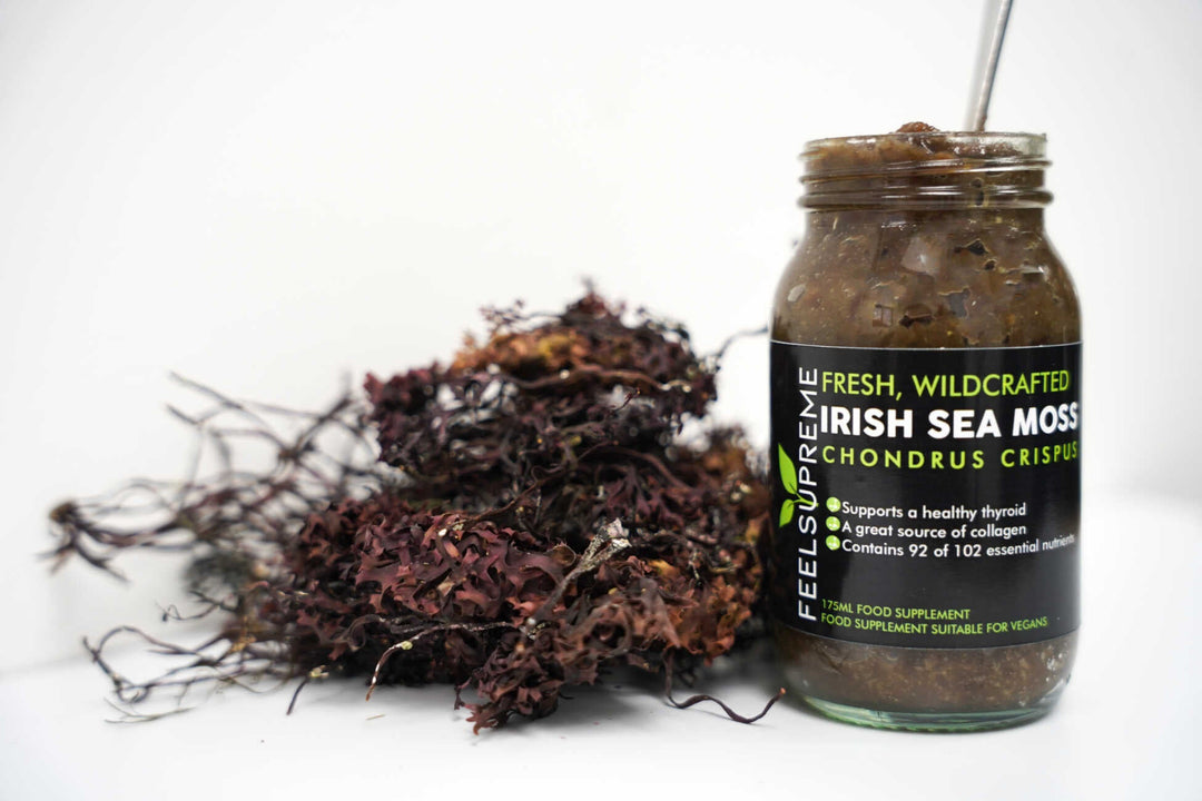 sea moss gel