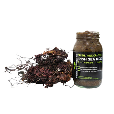 Discover Why You Must Incorporate Sea Moss Gel into Your Daily Routine