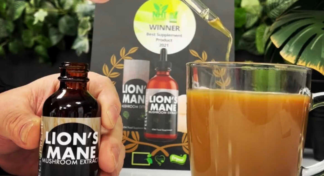 lion's mane extract