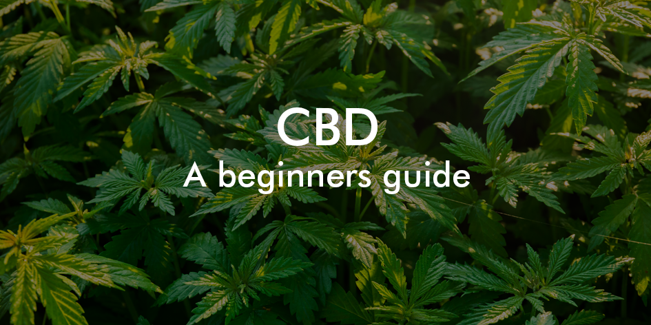 A beginners guide to CBD