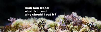 Benefits of Irish Sea Moss