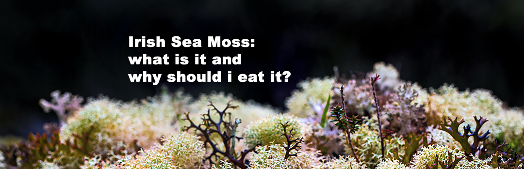 Benefits of Irish Sea moss