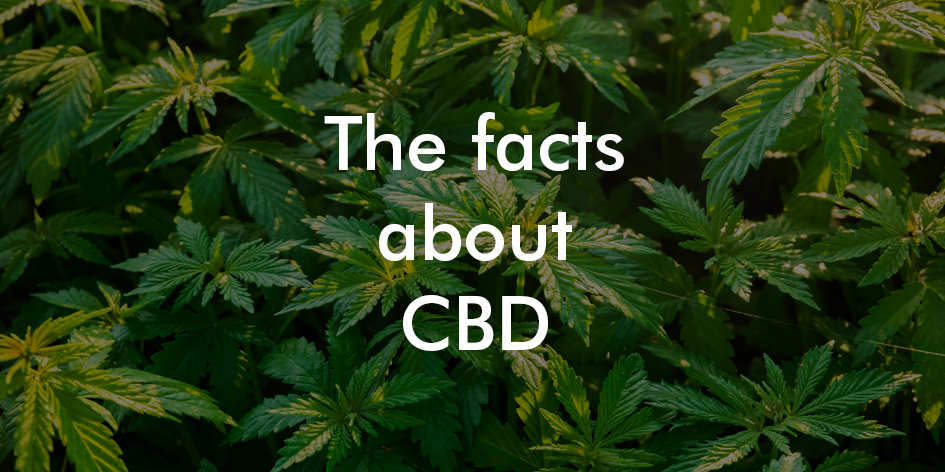 CBD facts