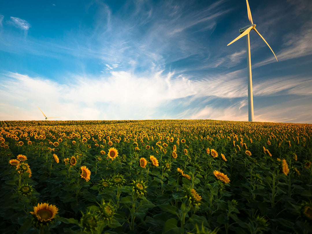 The Environmental Impact of Organic Supplements: How Your Choices Matter