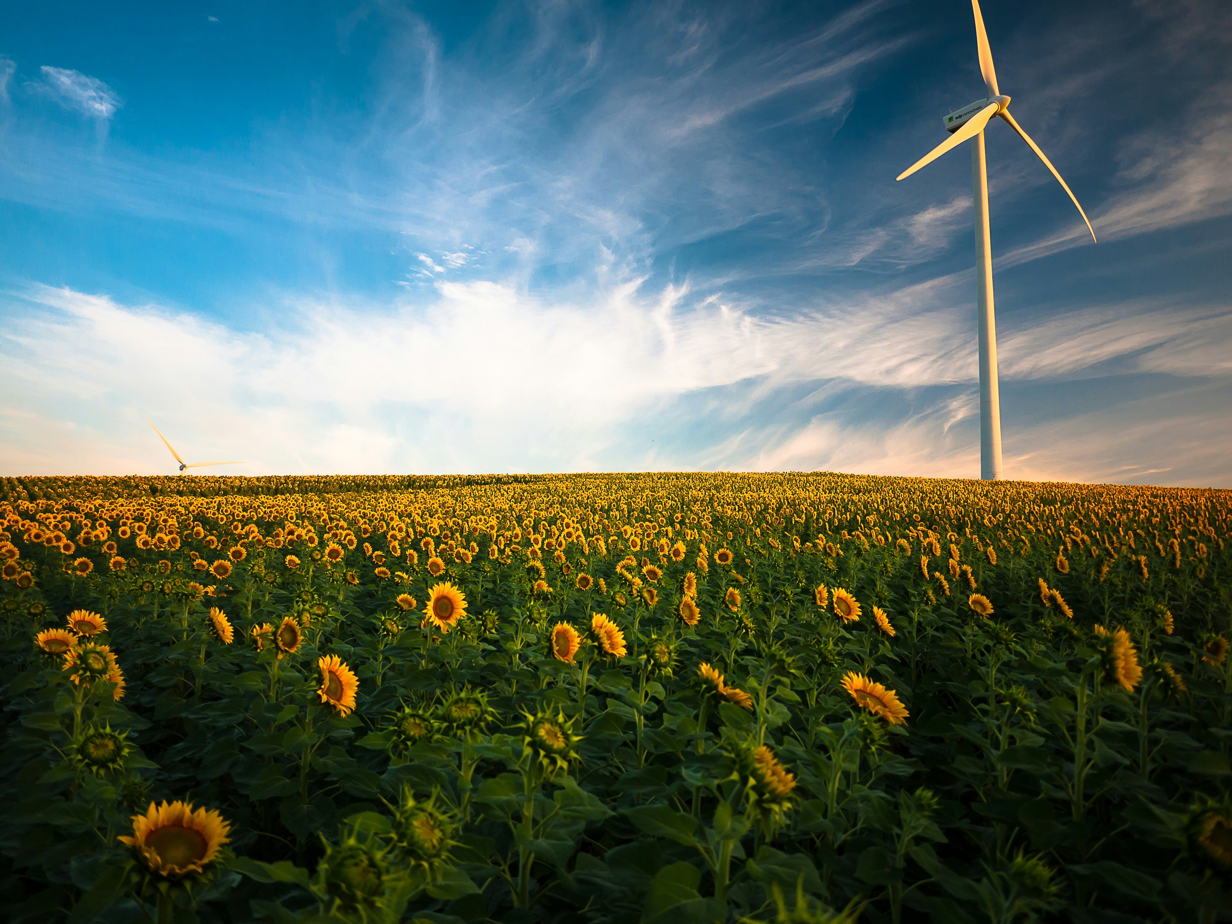 The Environmental Impact of Organic Supplements: How Your Choices Matter