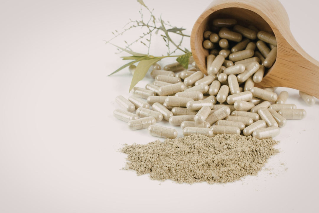 sea moss vs multivitamins