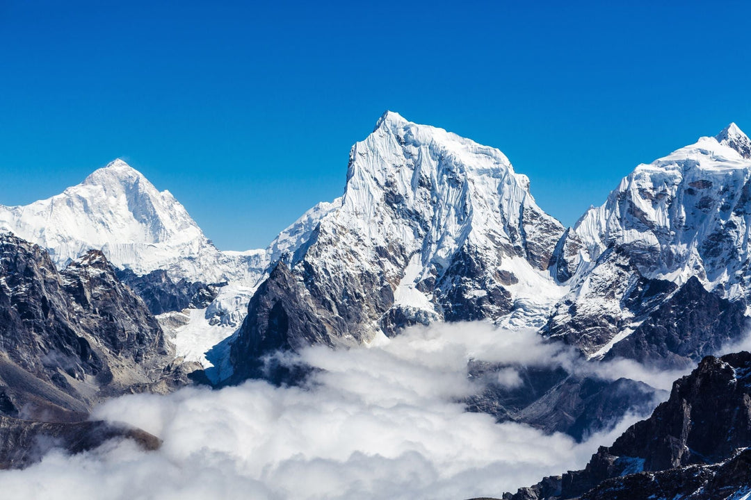 shilajit benefits