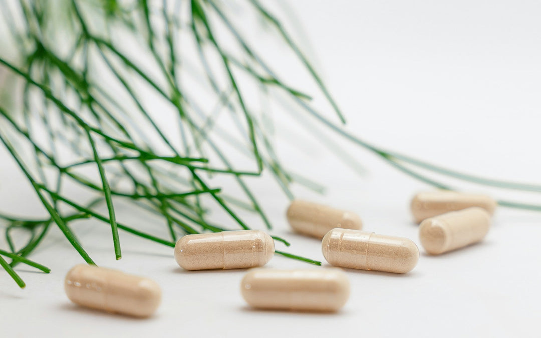 The Benefits of Combining Tongkat Ali and Fadogia Agrestis: A Natural Power Duo