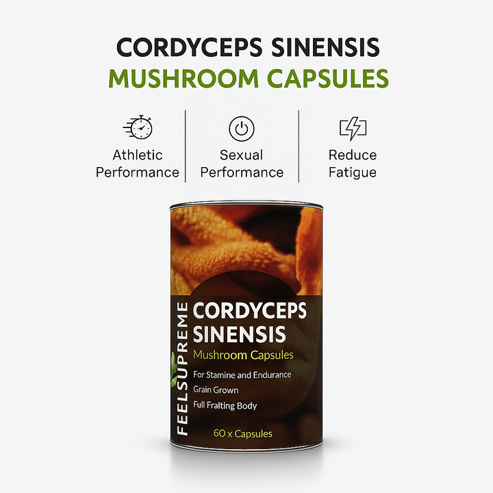 Cordyceps Capsules