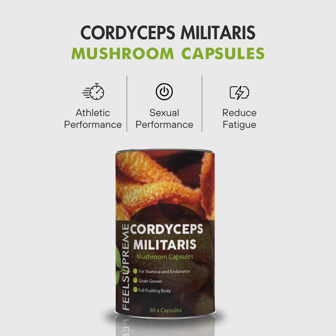 Cordyceps Militaris