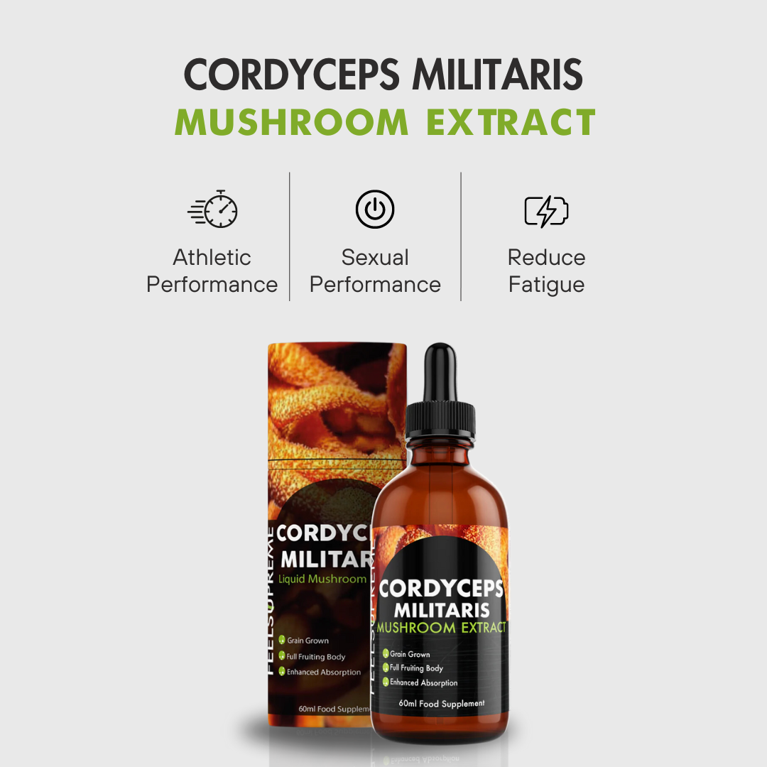 Cordyceps Militaris Mushroom Liquid