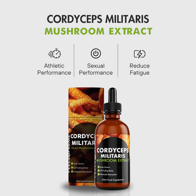 Cordyceps Militaris Mushroom Liquid