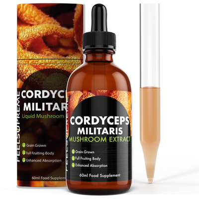 Discover the powerful benefits of Feel Supreme’s Cordyceps Militaris Liquid. Boost energy, enhance immunity, and support overall wellness with this potent mushroom extract. Perfect for athletes and anyone seeking natural vitality. 100% pure, vegan-friendly, and sustainably sourced.