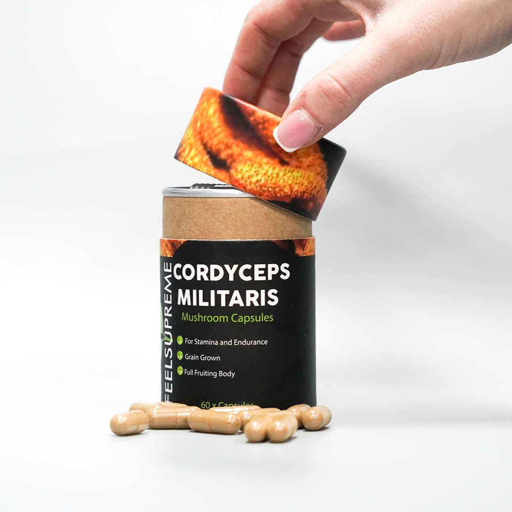 Close-up of a Cordyceps militaris mushroom supplement in capsule form, showcasing the bright orange, delicate mushroom powder known for its immune-boosting, energy-enhancing, and adaptogenic properties. Popular in natural health and wellness, this Cordyceps supplement is revered for supporting stamina, respiratory health, and overall vitality. Ideal for those seeking natural ways to improve performance and wellness, this supplement harnesses the benefits of Cordyceps militaris, an ancient medicinal mushroom