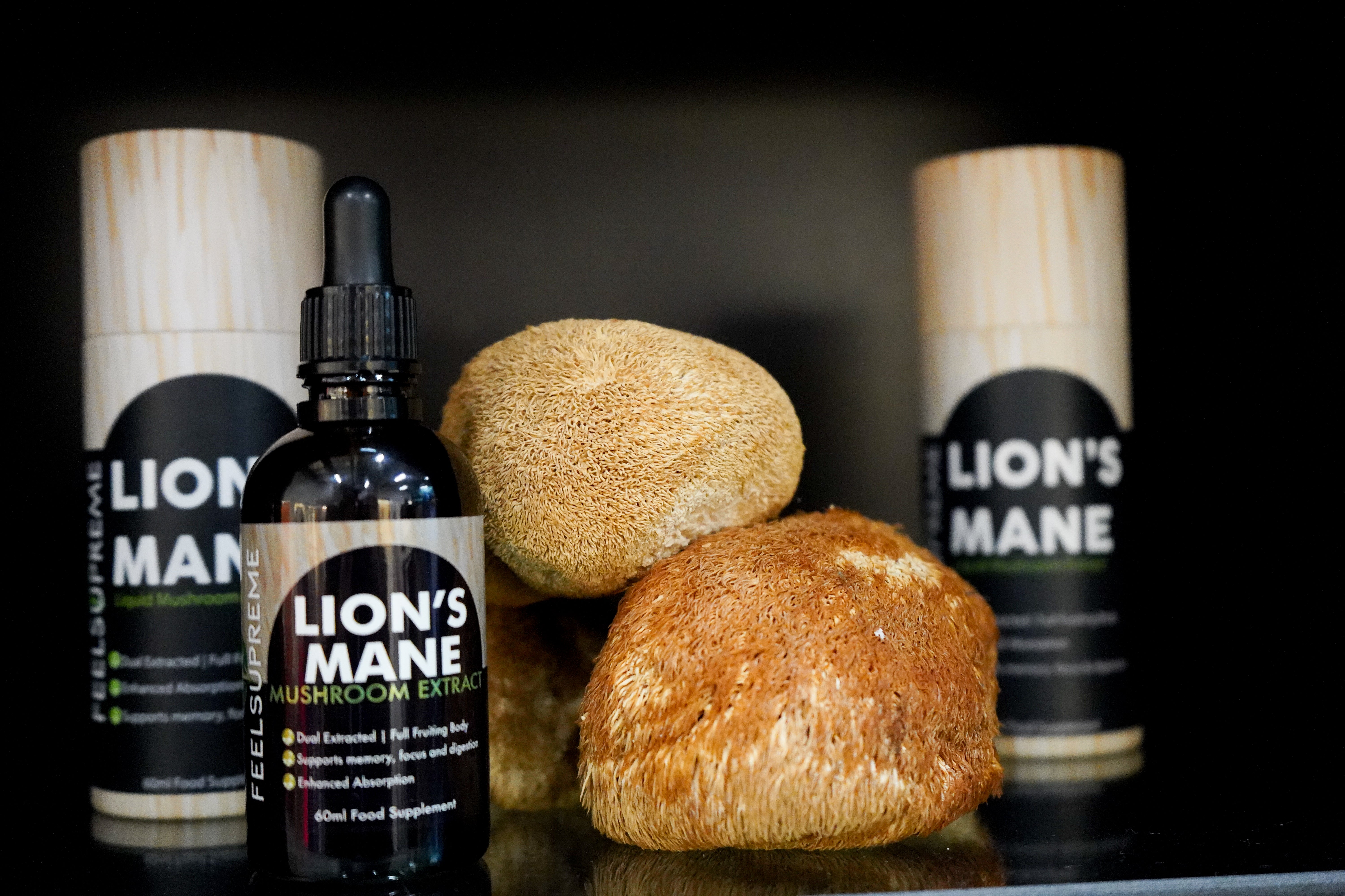 Lion's Mane Mushroom Extract (60ml Liquid Tincture)