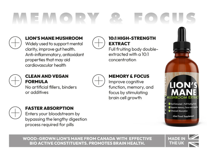 Brain & Focus Routine