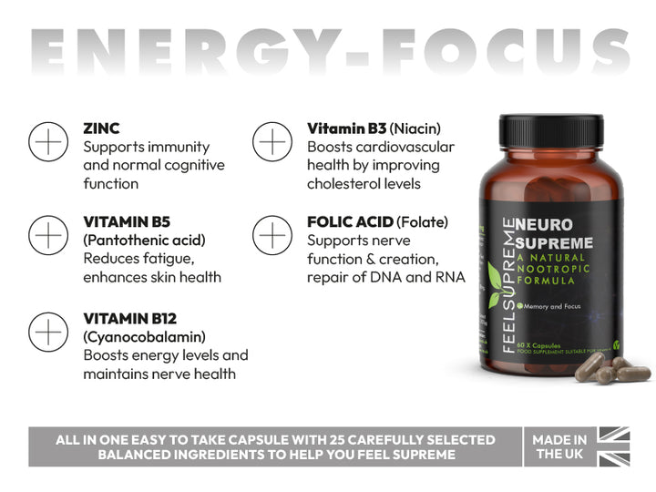 Brain & Focus Routine