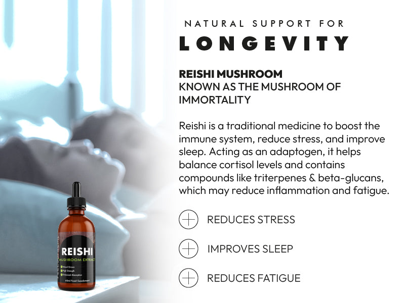 Women’s Wellness Routine: Menopause Support