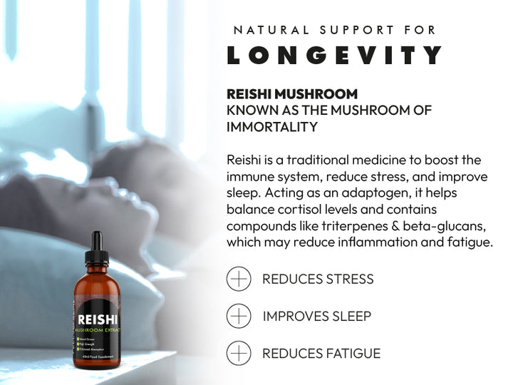 Women’s Wellness Routine: Menopause Support