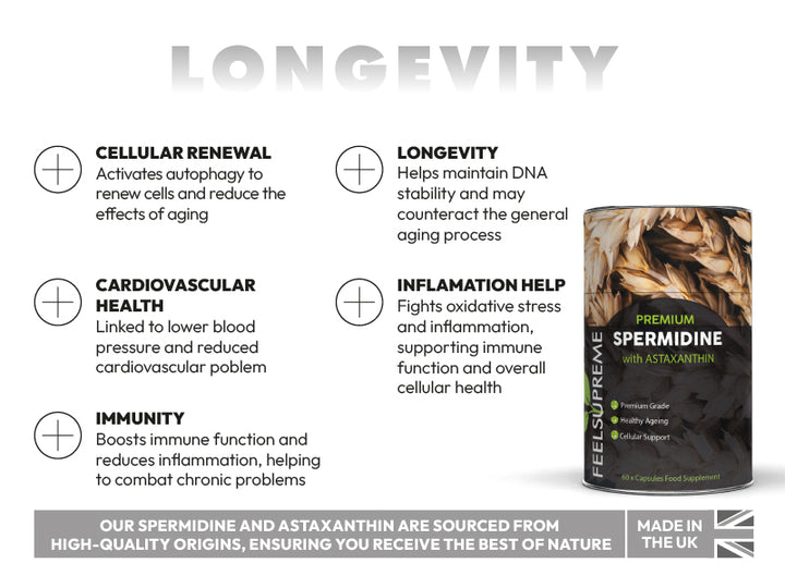 Longevity Routine: Healthy Ageing Support